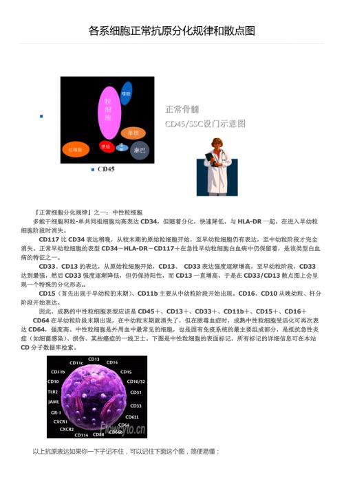 各系细胞正常抗原分化规律和散点图.docx