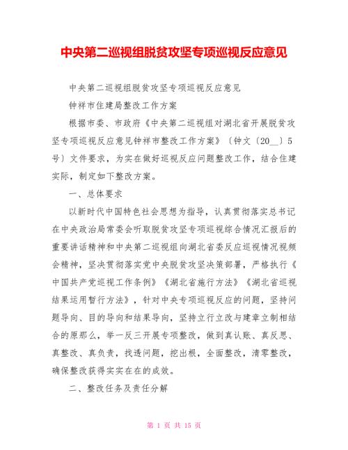 中央第二巡视组脱贫攻坚专项巡视反馈意见.doc