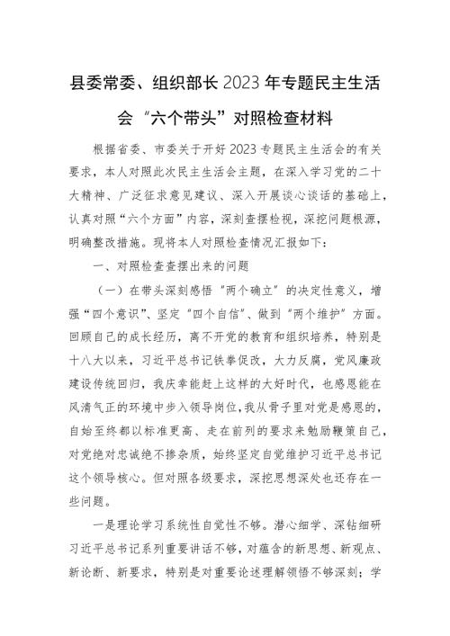 县委常委组织部长2023年专题民主生活会六个带头对照检查材料.docx
