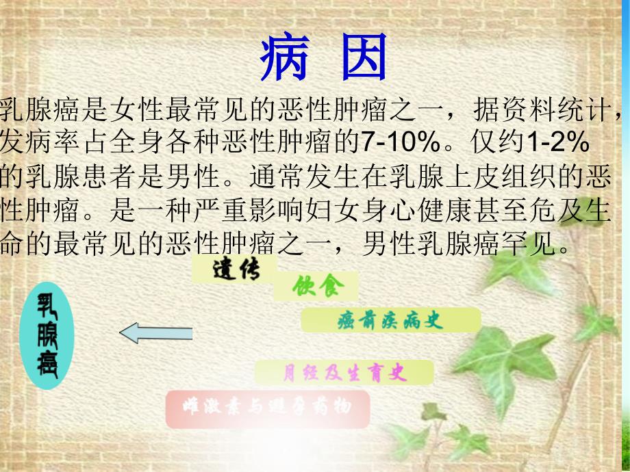 乳腺癌的护理查房.ppt_第2页