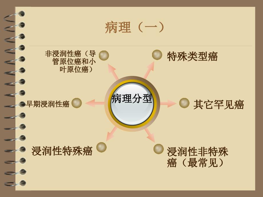 乳腺癌的护理查房.ppt_第3页