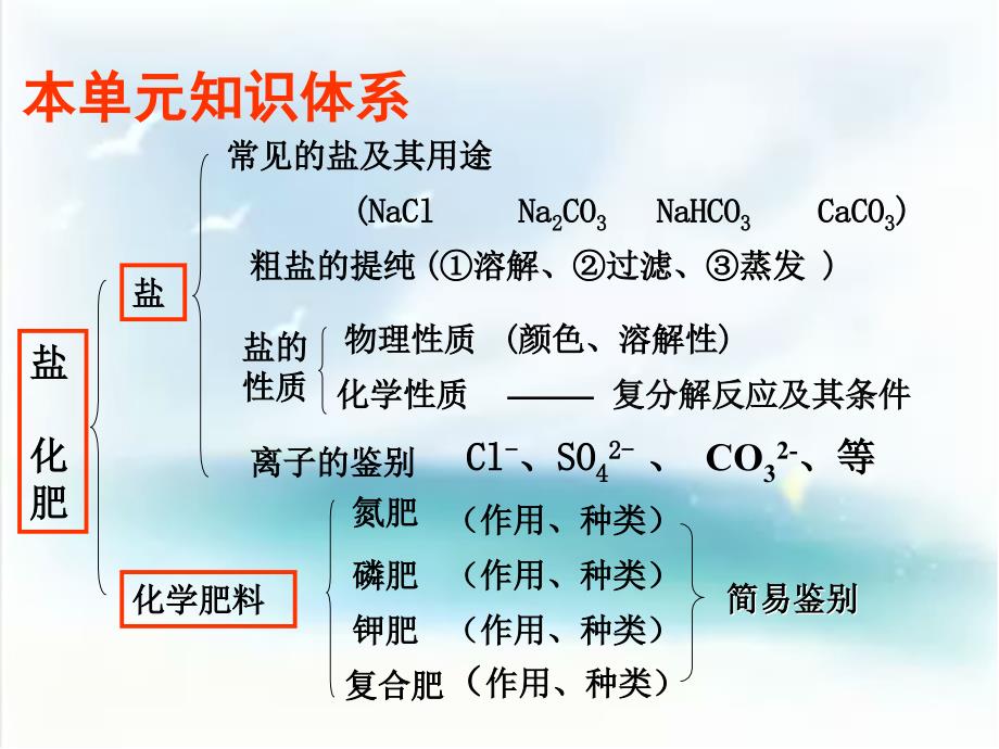 九年级化学第十一单元复习课ppt课件.ppt_第2页