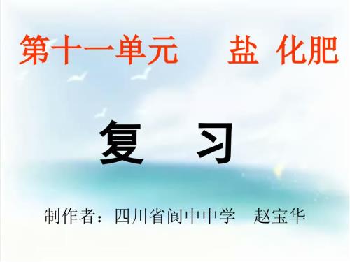 九年级化学第十一单元复习课ppt课件.ppt