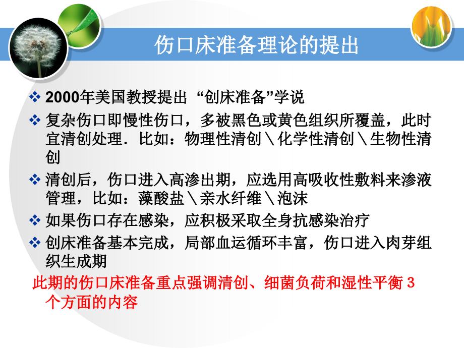 伤口床的准备课件.ppt_第3页