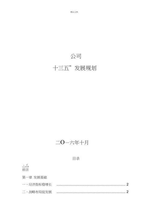 公司十三五发展规划.doc