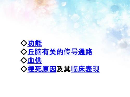 丘脑解剖及功能.ppt