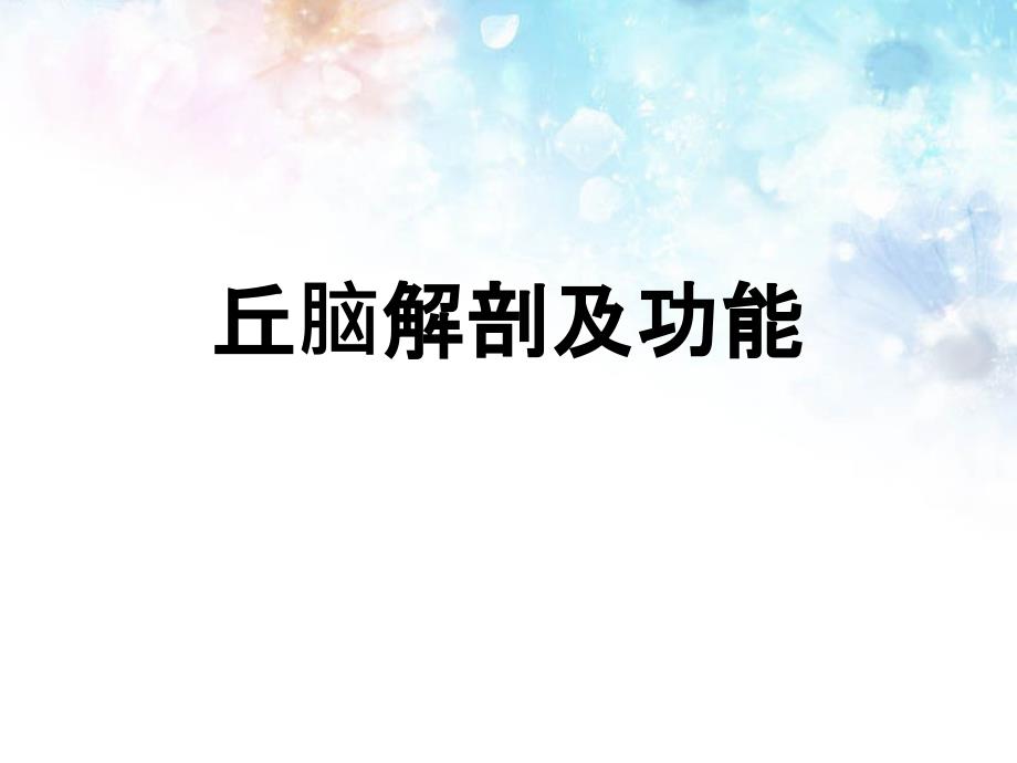 丘脑解剖及功能.ppt_第2页