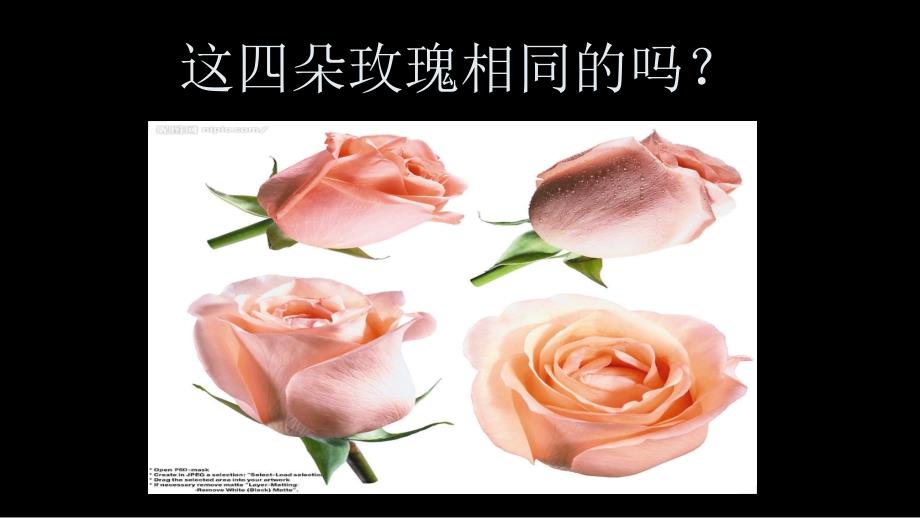 多角度描写景物课件.ppt_第2页