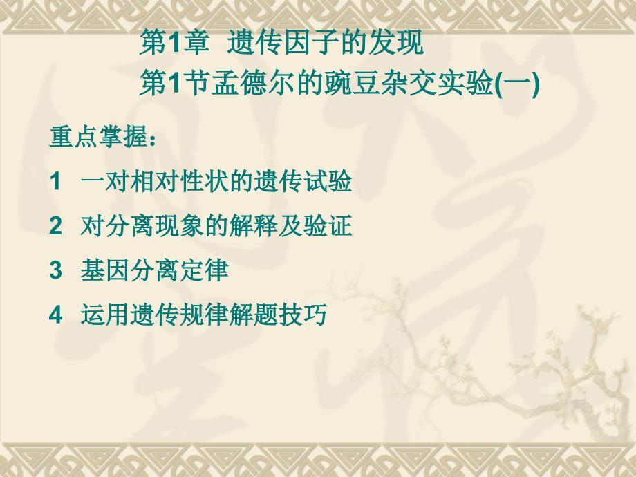 人教版高中生物必修二全套课件.ppt_第2页