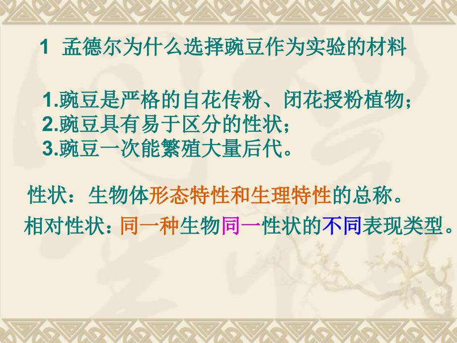 人教版高中生物必修二全套课件.ppt_第3页