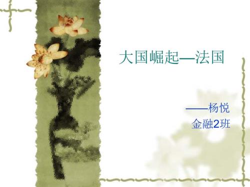 大国崛起法国PPT课件.ppt
