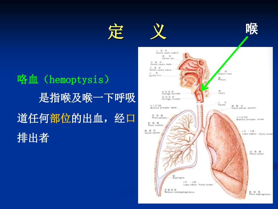 咯血ppt医学课件.ppt_第2页