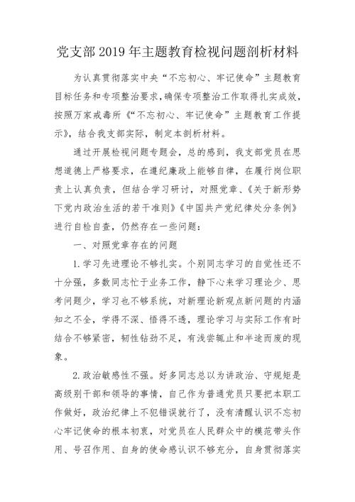 党支部2020年主题教育检视问题剖析材料.doc