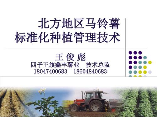 北方地区马铃薯种植技术.ppt