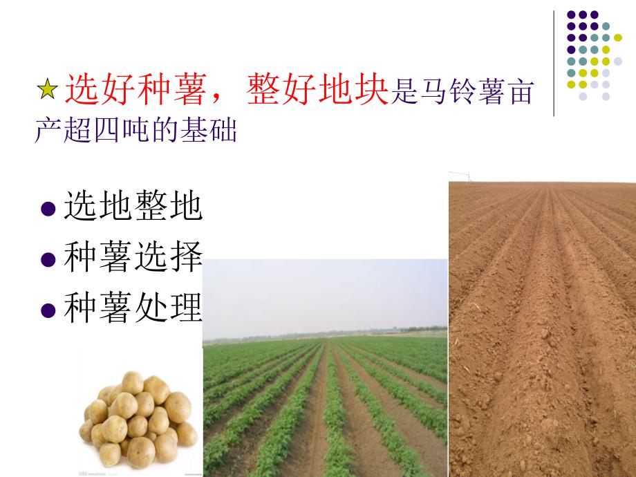 北方地区马铃薯种植技术.ppt_第3页