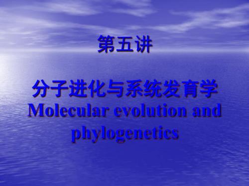 分子进化与系统发育学ppt幻灯片1.ppt