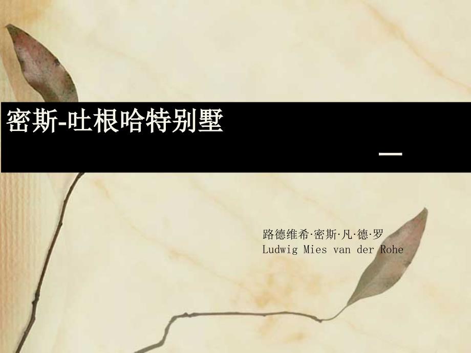 十个著名别墅分析.ppt_第2页