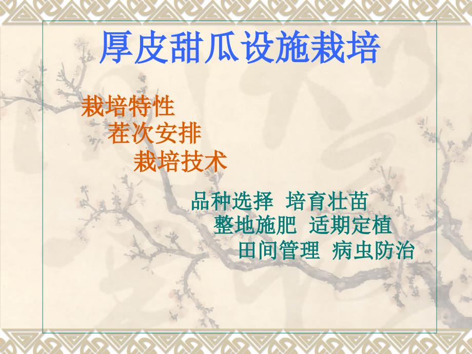 厚皮甜瓜设施栽培PPT课件.ppt_第1页