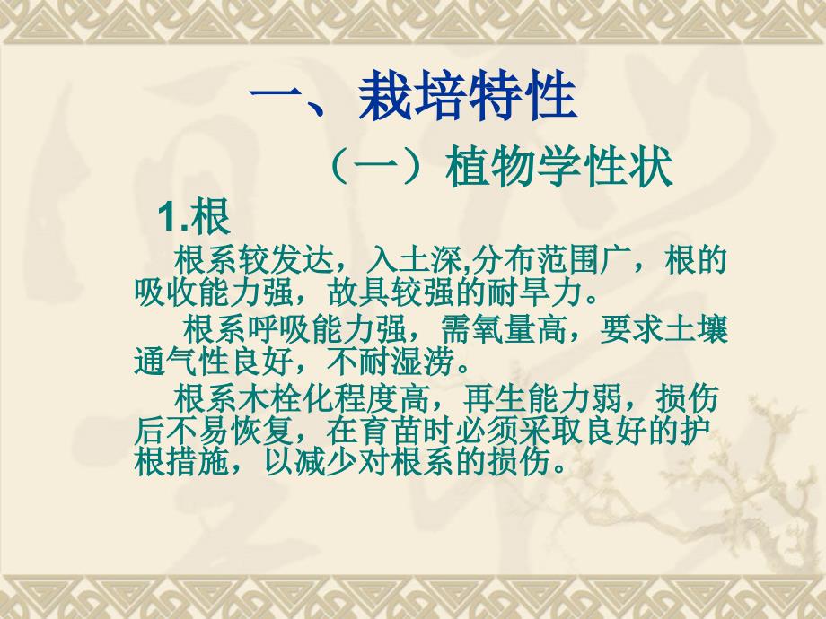厚皮甜瓜设施栽培PPT课件.ppt_第2页