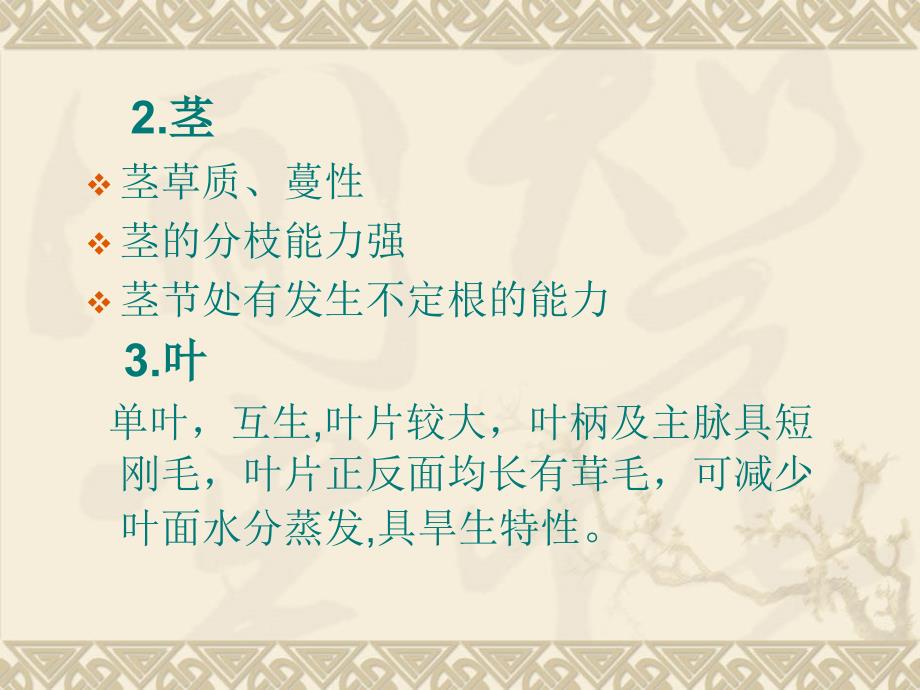 厚皮甜瓜设施栽培PPT课件.ppt_第3页