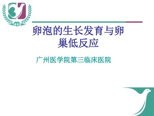 卵泡的生长发育和卵巢低反应.ppt