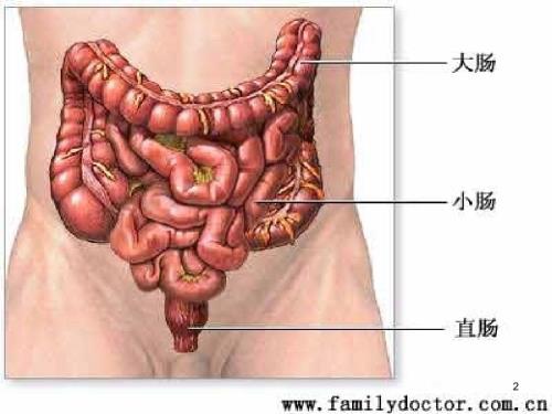 优质课件结肠造瘘口术后护理.ppt