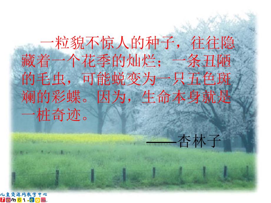人教新课标四年级语文课件生命生命.ppt_第2页