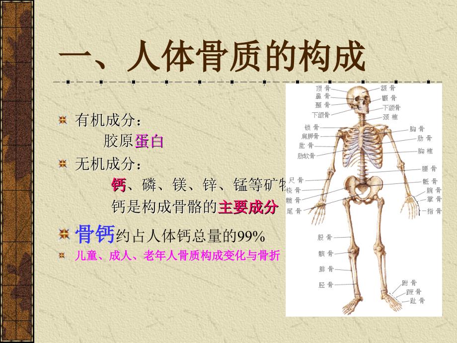 保护骨骼健康讲义ppt课件.ppt_第3页