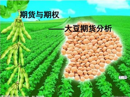 大豆期货分析ppt.ppt