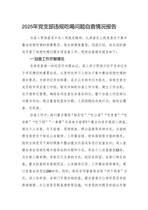 2025年党支部违规吃喝问题自查情况报告.docx