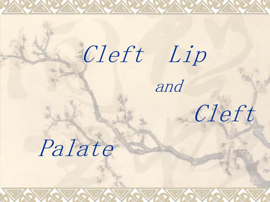 唇裂腭裂CLEFTLIPANDPALATE.ppt.ppt_第1页