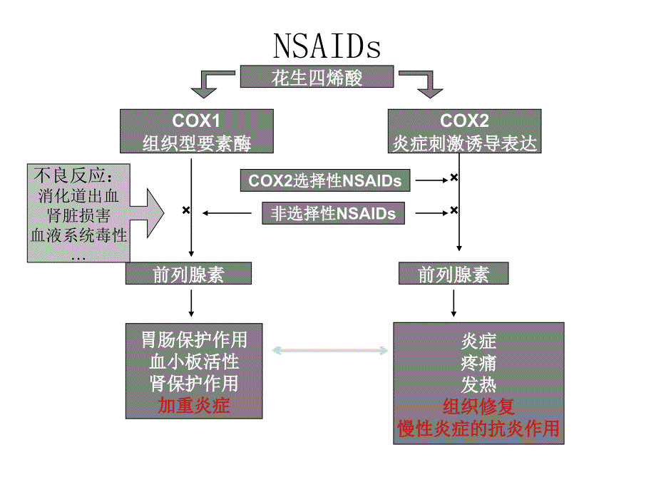 免疫药物课件.ppt_第3页
