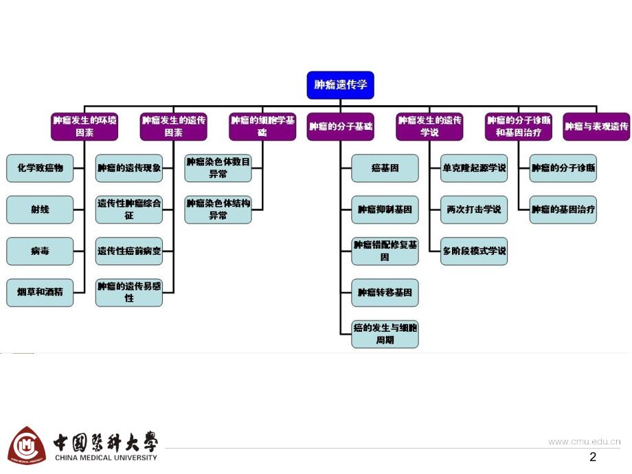 医学遗传学第8章肿瘤4h.ppt_第2页