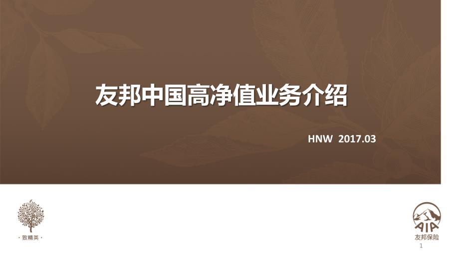保险行业培训课件友邦中国高净值业务介绍.pptx_第1页