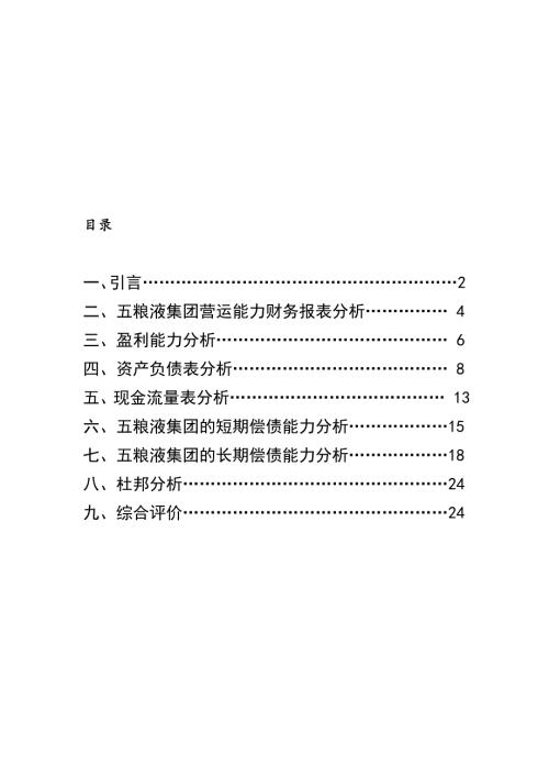 五粮液近五年财务报表分析sy.doc