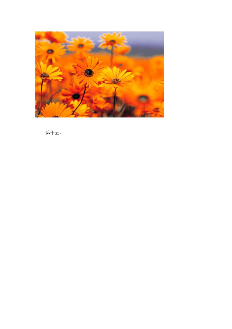 安装工工作制度.docx_第3页