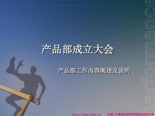 产品部门组织构架及各岗位工作职能.ppt