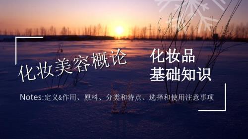 化妆品基础知识ppt课件.ppt