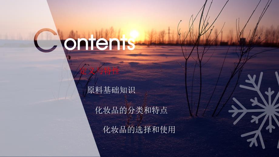 化妆品基础知识ppt课件.ppt_第2页