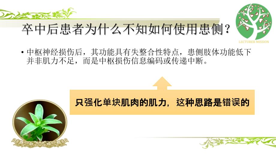 中枢整合与整体训练.ppt_第2页