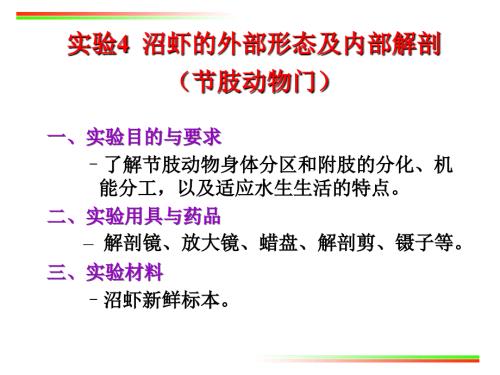 动物学实验实验4沼虾的外部形态及内部解剖节肢动物门.ppt
