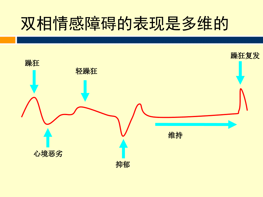双相情感障碍的治疗.ppt_第2页