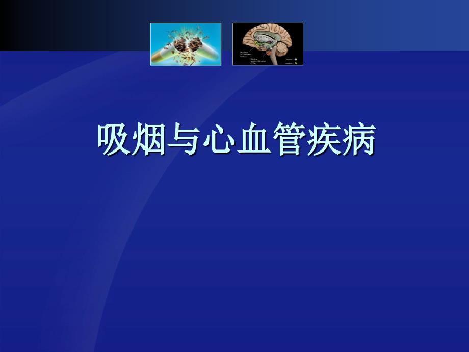 吸烟与心血管疾病PPT课件.ppt_第1页