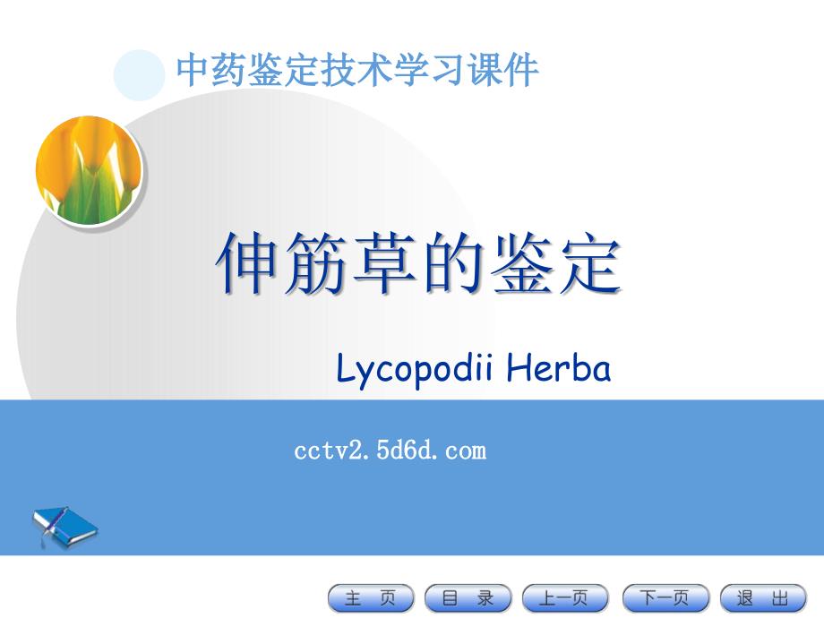 全草类中药鉴定大全.ppt_第3页