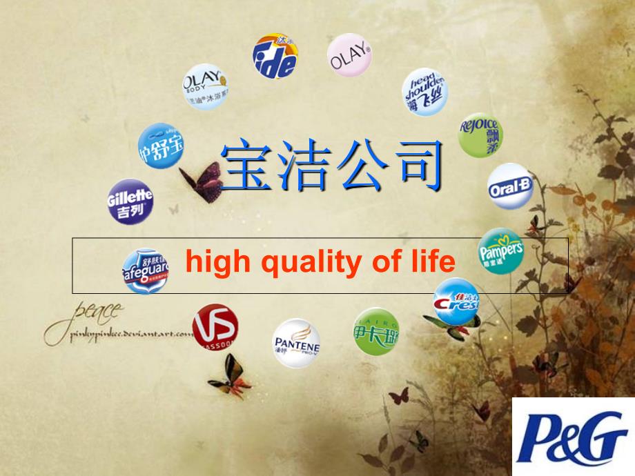 宝洁市场细分PPT课件.ppt_第1页
