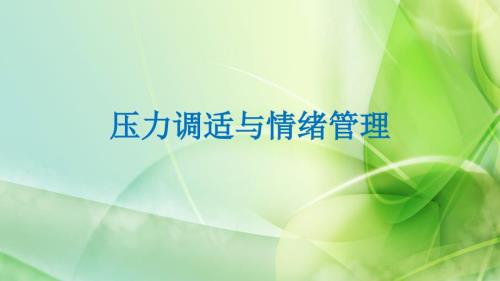 压力调适与情绪管理心理讲座ppt课件.pptx