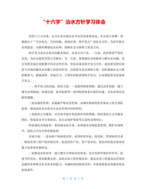 十六字治水方针学习体会.doc