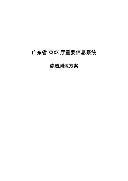 信息系统渗透测试方案.doc