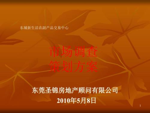 东城新生活农副产品交易中心市场调查策划方案.ppt