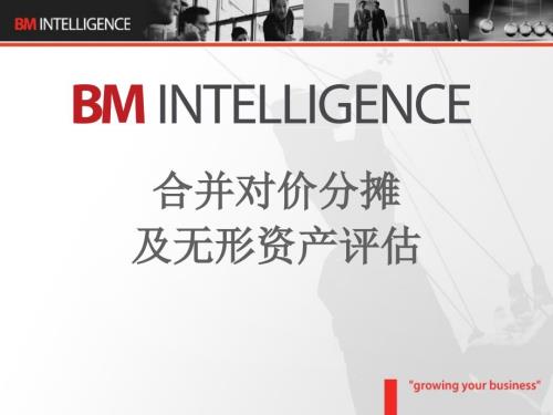 合并对价分摊及无形资产评估绝版好资料看到就别错过.ppt